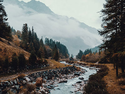 蜂鸟影院快速复盘卡：问题前提说了吗，动作补全条件，提示读完更清楚