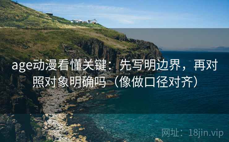 age动漫看懂关键：先写明边界，再对照对象明确吗（像做口径对齐）