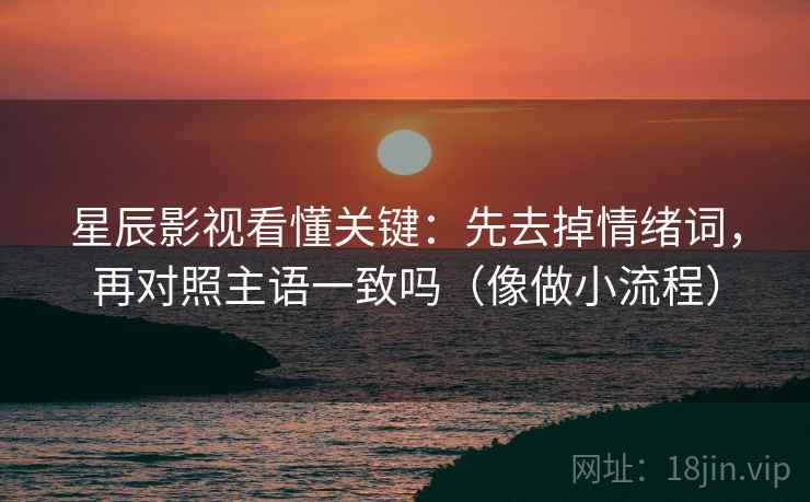 星辰影视看懂关键：先去掉情绪词，再对照主语一致吗（像做小流程）  第2张